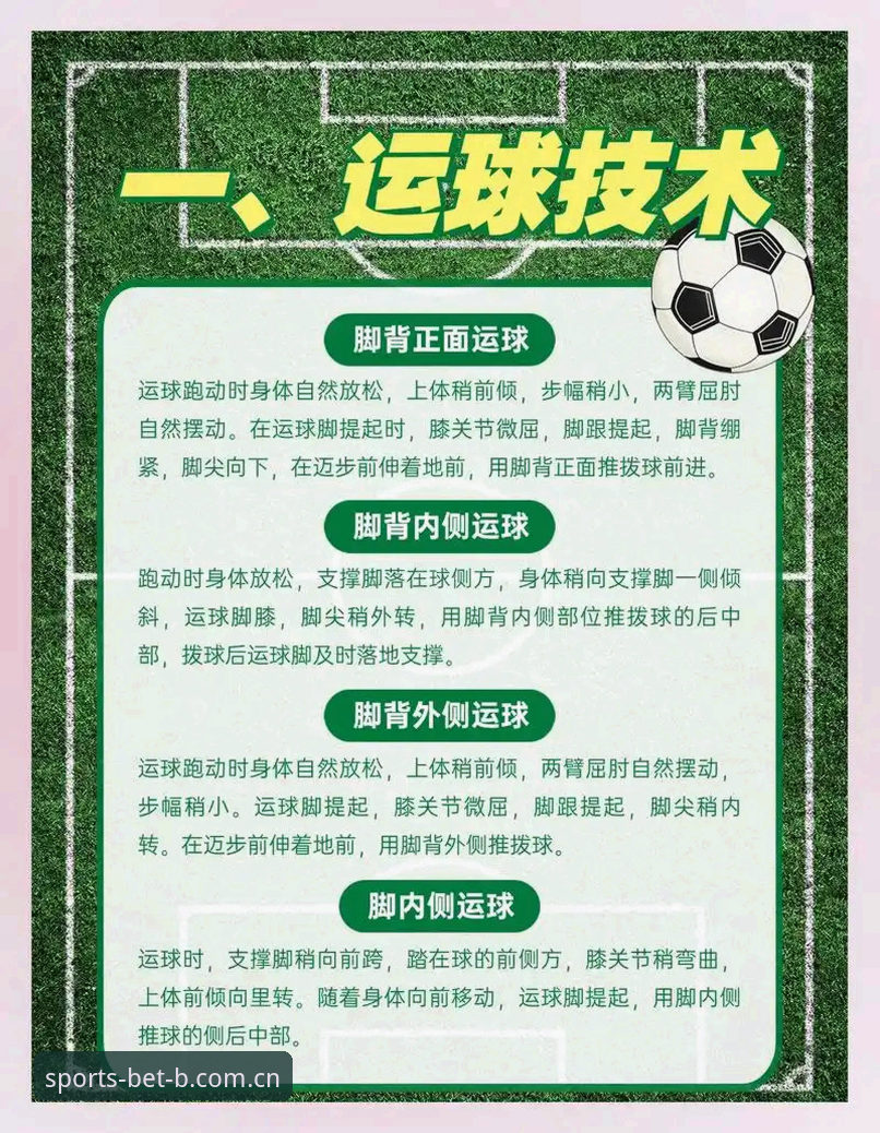 B体育2025新版使用指南 足球行业整顿实用指南:从禁足名单看中国足球治理新趋势